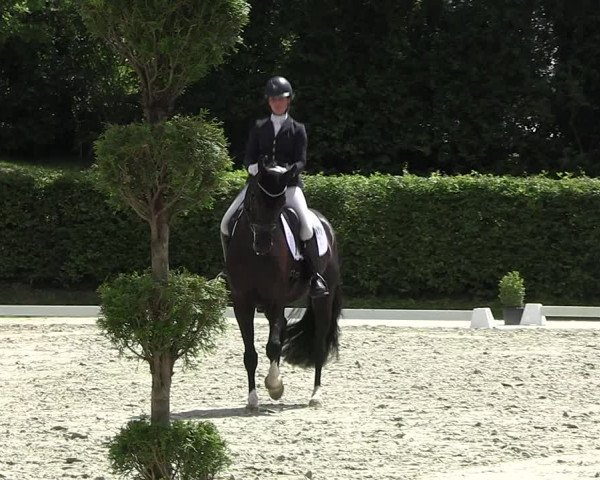 Reitturnier Vlotho-Exter 2023