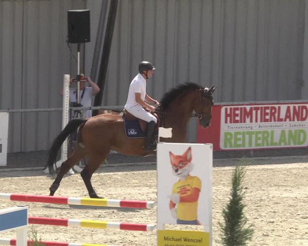 Reitturnier Ehningen 2023