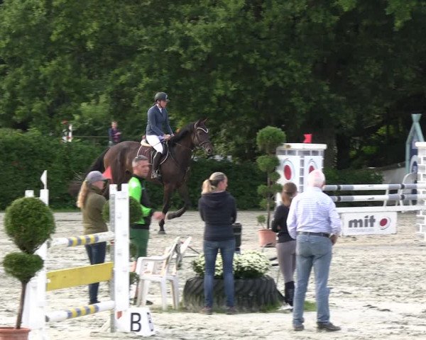 Reitturnier Vlotho-Exter 2023