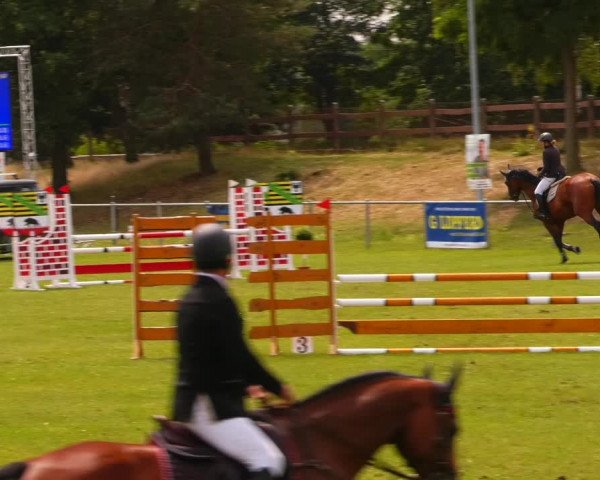 Reitturnier Gardelegen 2023