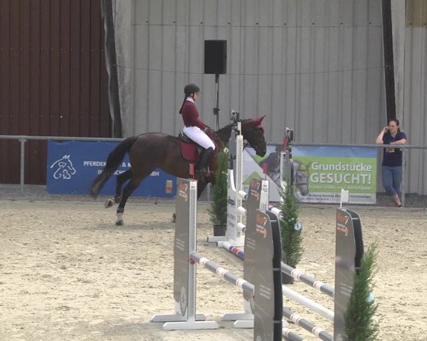 Reitturnier Ehningen 2023