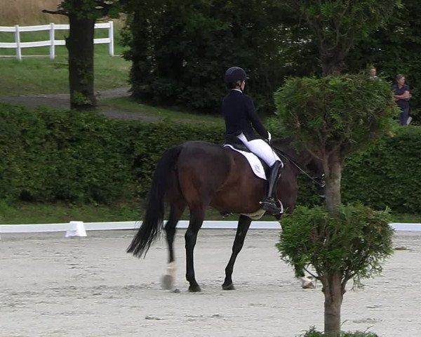 Reitturnier Vlotho-Exter 2023