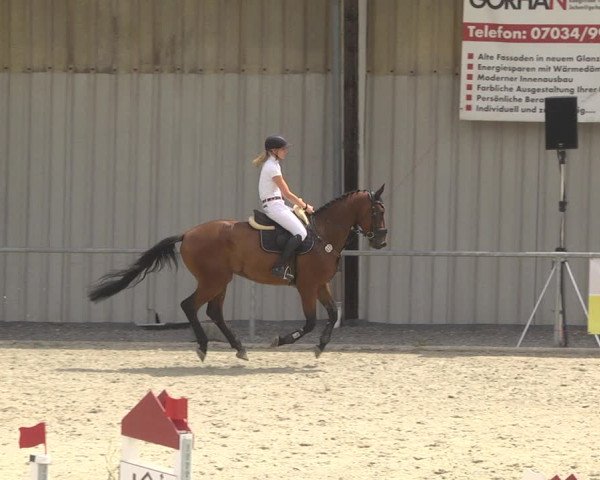 Reitturnier Ehningen 2023