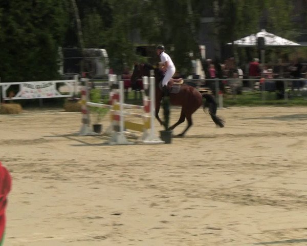 Reitturnier Herbern 2023