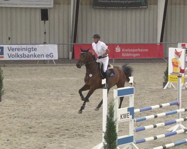 Reitturnier Ehningen 2023