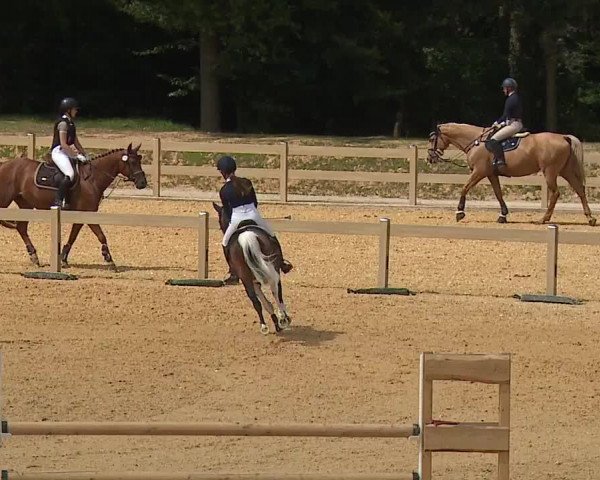 Reitturnier Tiefenhof/Opf. 2023