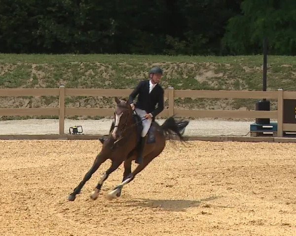 Reitturnier Tiefenhof/Opf. 2023