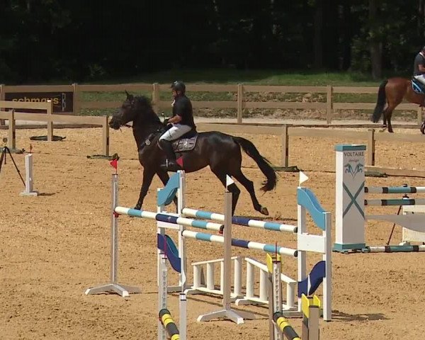 Reitturnier Tiefenhof/Opf. 2023