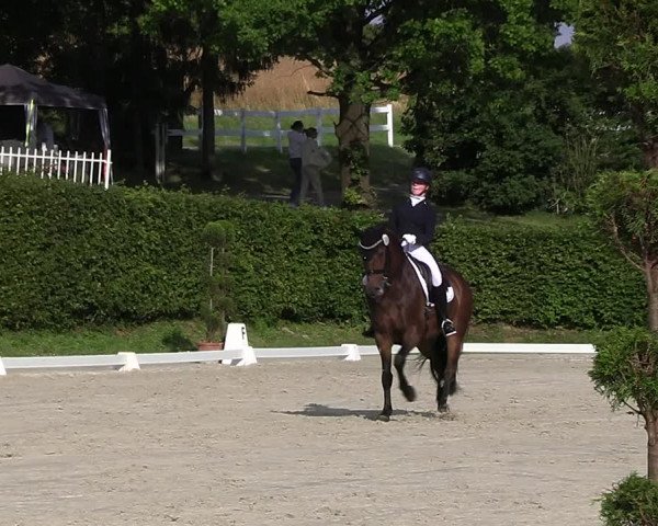 Reitturnier Vlotho-Exter 2023