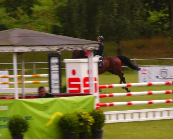 Reitturnier Gardelegen 2023