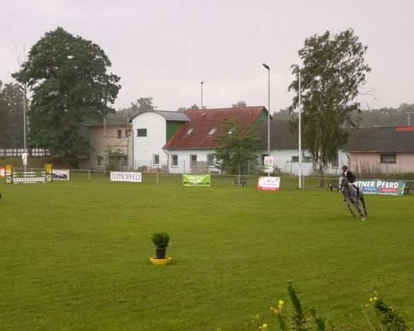 Reitturnier Gardelegen 2023