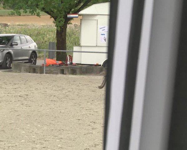 Reitturnier Ehningen 2023