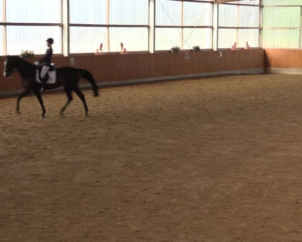 Reitturnier Herbern 2023