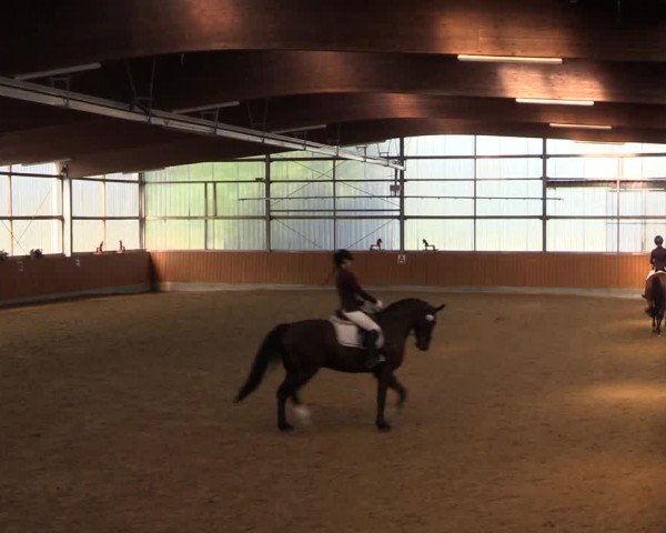 Reitturnier Herbern 2023