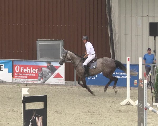 Reitturnier Ehningen 2023