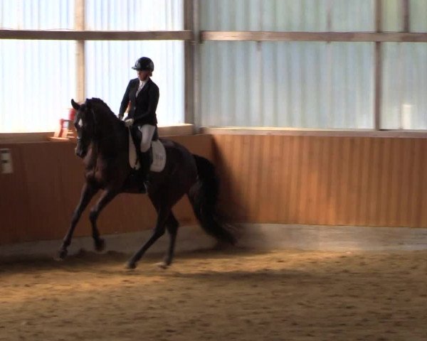 Reitturnier Herbern 2023