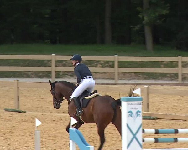 Reitturnier Tiefenhof/Opf. 2023