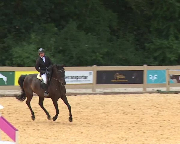 Reitturnier Tiefenhof/Opf. 2023
