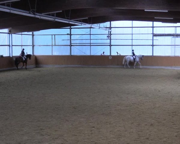Reitturnier Herbern 2023