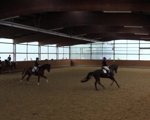 Reitturnier Herbern 2023
