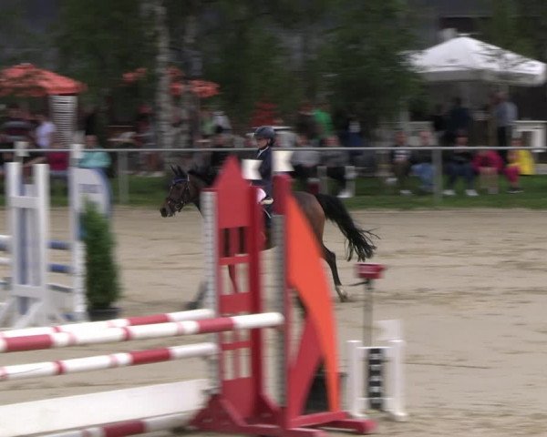 Reitturnier Herbern 2023