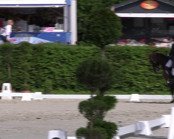 Reitturnier Vlotho-Exter 2023