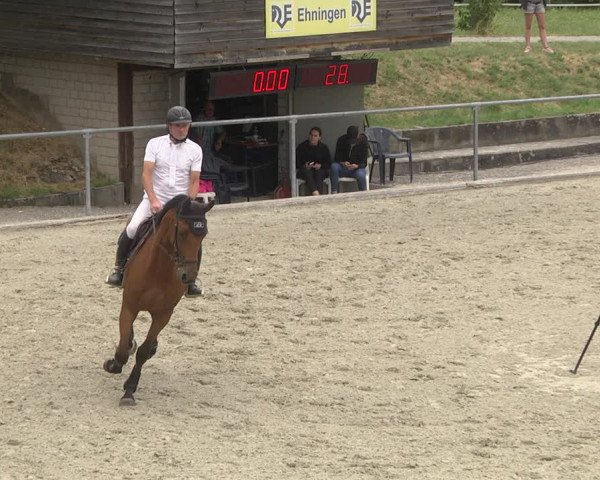 Reitturnier Ehningen 2023
