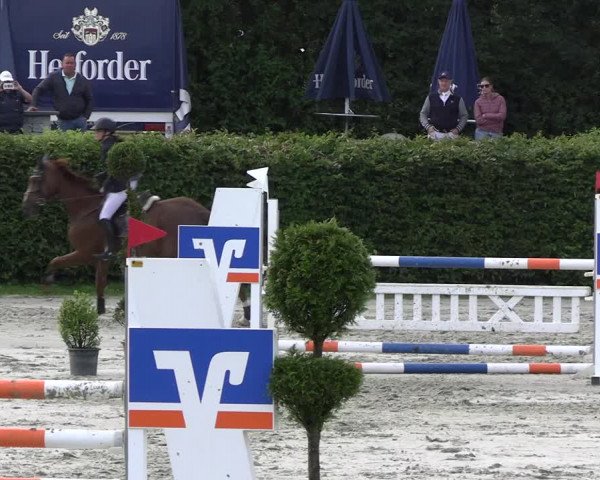 Reitturnier Vlotho-Exter 2023