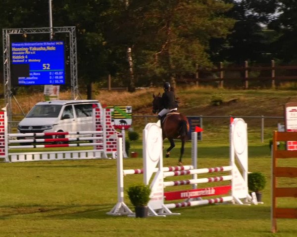 Reitturnier Gardelegen 2023