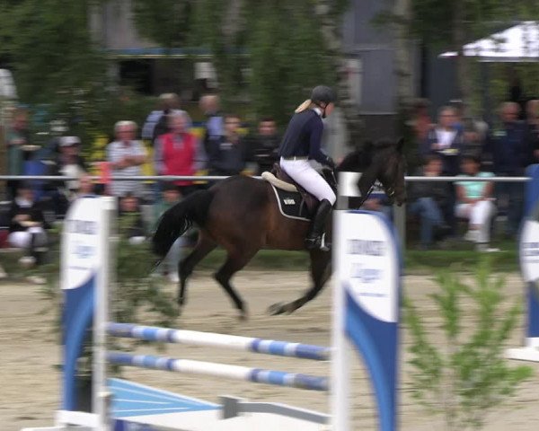 Reitturnier Herbern 2023