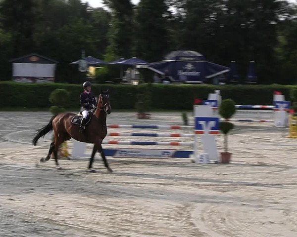 Reitturnier Vlotho-Exter 2023