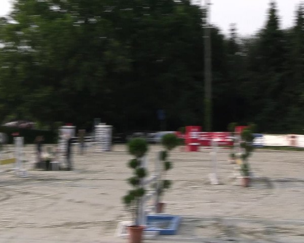 Reitturnier Vlotho-Exter 2023