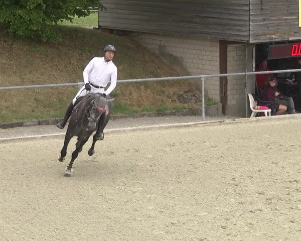 Reitturnier Ehningen 2023