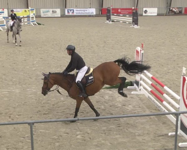 Reitturnier Ehningen 2023