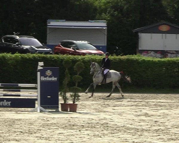 Reitturnier Vlotho-Exter 2023