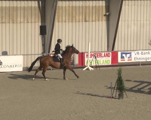 Reitturnier Ehningen 2023
