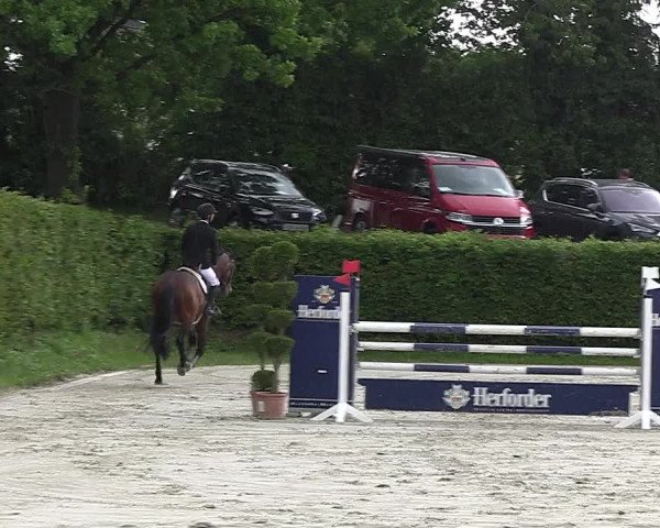 Reitturnier Vlotho-Exter 2023