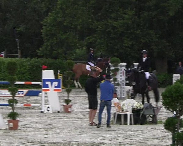Reitturnier Vlotho-Exter 2023