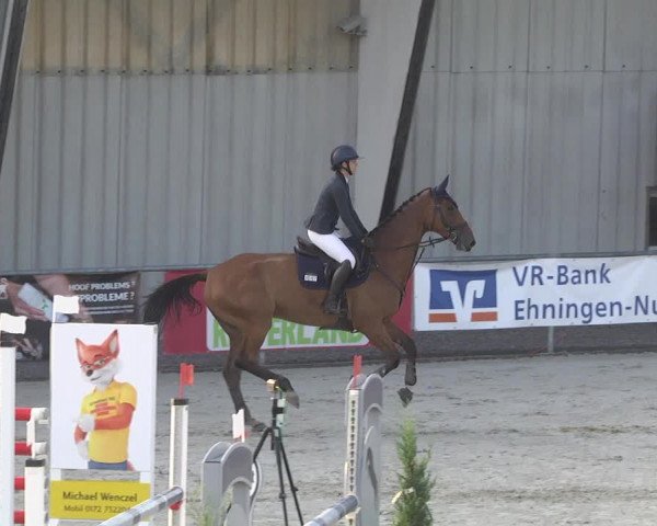 Reitturnier Ehningen 2023