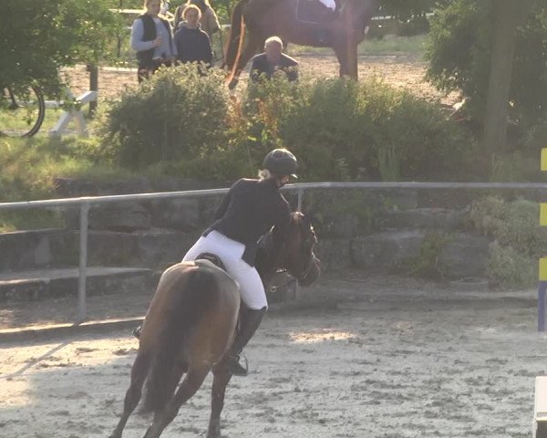 Reitturnier Ehningen 2023