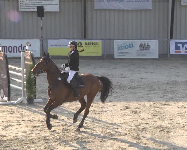 Reitturnier Ehningen 2023