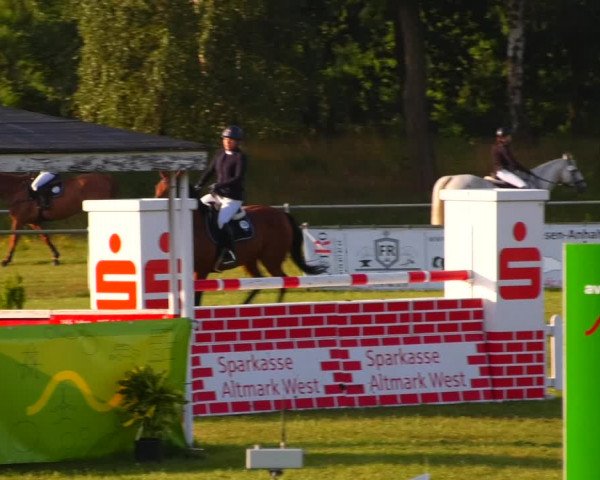 Reitturnier Gardelegen 2023