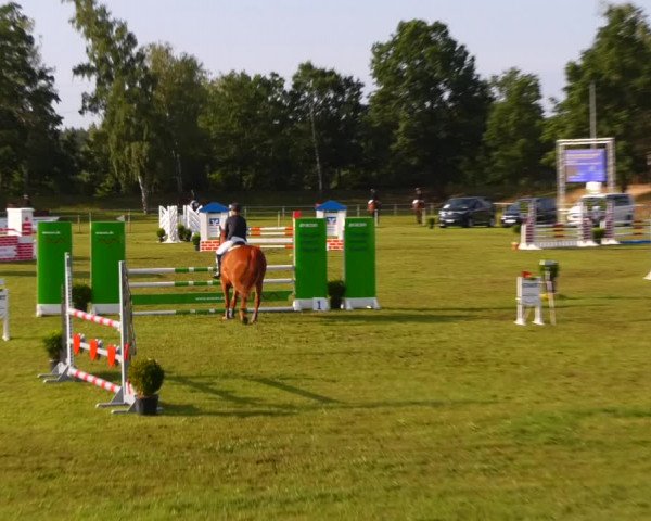 Reitturnier Gardelegen 2023