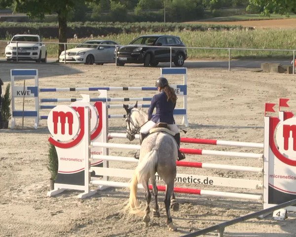 Reitturnier Ehningen 2023