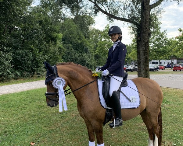 dressage horse Leonie (German Riding Pony, 2007, from FS Don't Worry)