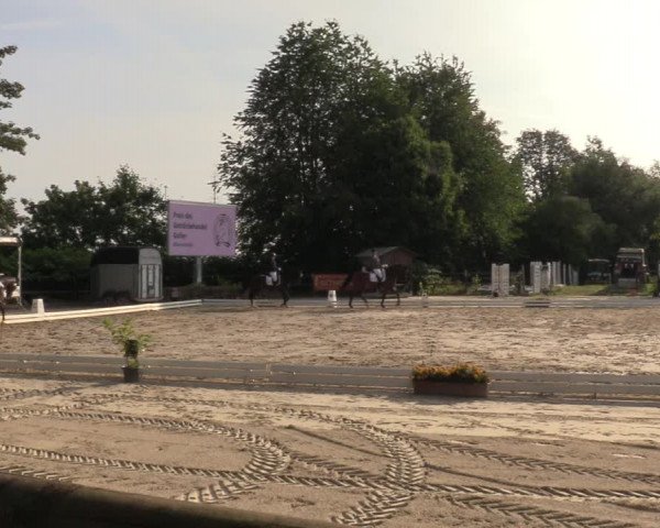 Reitturnier Marienheide-Kempershöhe 2023