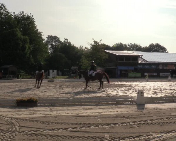 Reitturnier Marienheide-Kempershöhe 2023