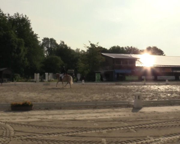 Reitturnier Marienheide-Kempershöhe 2023