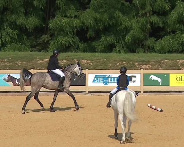 Reitturnier Tiefenhof/Opf. 2023