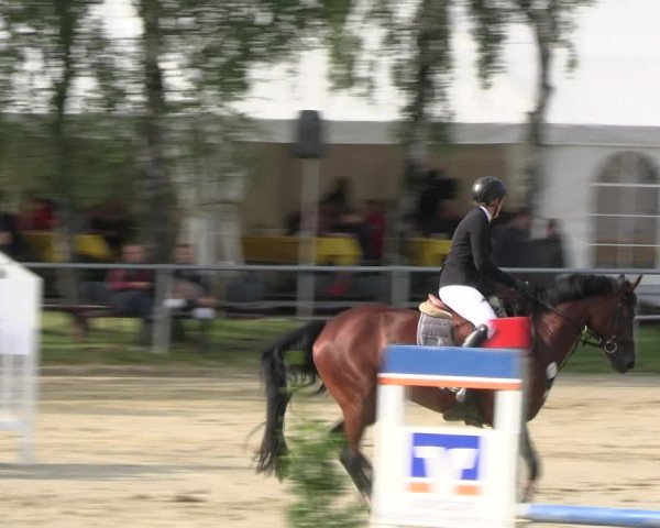 Reitturnier Herbern 2023